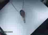 2002 Jeep Grand Cherokee Limited with VIN 1J4GW58N02C115476, listed as a IAAI auction lot 43394255 with Not provided miles and . Bid and sale history available at DreamBid. Image 11.