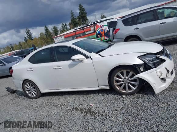 2009 Lexus IS 250 с VIN JTHBK262092094047, выставлен на аукционе IAAI как лот 43366601 с пробегом 86 711 миль миль и . История ставок и продаж доступна на DreamBid. Изображение 13.