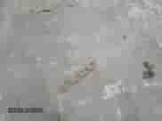 2012 Volvo XC70 T6 с VIN YV4902BZ0C1127776, выставлен на аукционе Copart как лот 44056845 с пробегом 160 264 миль миль и Списание • Salvage title. История ставок и продаж доступна на DreamBid. Изображение 13.