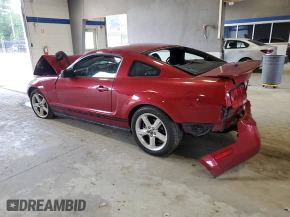 2008 Ford Mustang Deluxe with VIN 1ZVHT80N685110812, listed as a Copart auction lot 66476935 with Not provided miles and Salvage title. Bid and sale history available at DreamBid. Image 2.
