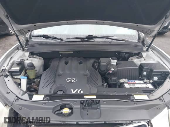 2007 Hyundai Santa Fe GLS z VIN 5NMSG13D27H090481, wystawiony jako IAAI lot #43024207 z przebiegiem 76 843 mil mil oraz . Historia ofert i sprzedaży dostępna na DreamBid. Obrazek 10.