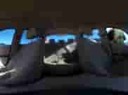 2009 BMW 3 Series 328i with VIN WBAPH73599E125695, listed as a IAAI auction lot 41442340 with 94,771 mi miles and . Bid and sale history available at DreamBid. Image 18.