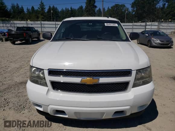 2010 Chevrolet Avalanche LS with VIN 3GNVKEE02AG282183, listed as a Copart auction lot 66467265 with 168,785 mi miles and Salvage title. Bid and sale history available at DreamBid. Image 5.