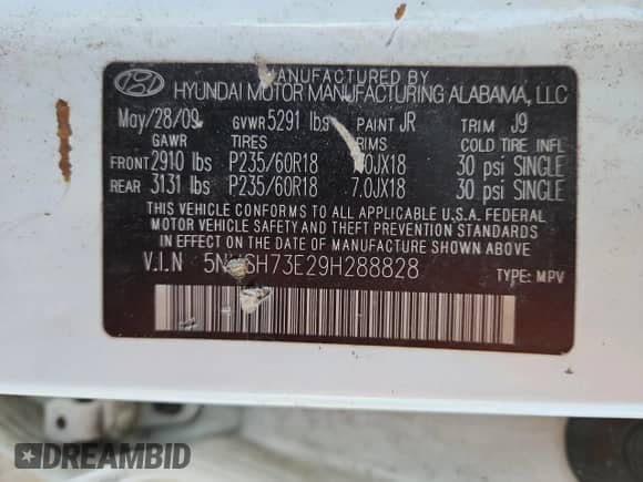 2009 Hyundai Santa Fe SE z VIN 5NMSH73E29H288828, wystawiony jako Copart lot #87076865 z przebiegiem 192 954 mil mil oraz Szkoda całkowita • Salvage title. Historia ofert i sprzedaży dostępna na DreamBid. Obrazek 13.