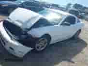 2014 Ford Mustang Premium with VIN 1ZVBP8AM8E5286949, listed as a IAAI auction lot 43350562 with Not provided miles and . Bid and sale history available at DreamBid. Image 2.