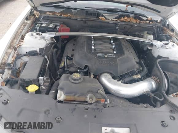 2011 Ford Mustang GT with VIN 1ZVBP8CF2B5161343, listed as a IAAI auction lot 42866664 with 189,284 mi miles and . Bid and sale history available at DreamBid. Image 10.