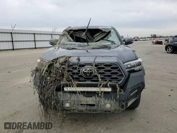 2021 Toyota Tacoma SR with VIN 3TMCZ5AN8MM446037, listed as a Copart auction lot 80966695 with Not provided miles and Salvage title. Bid and sale history available at DreamBid. Image 13.