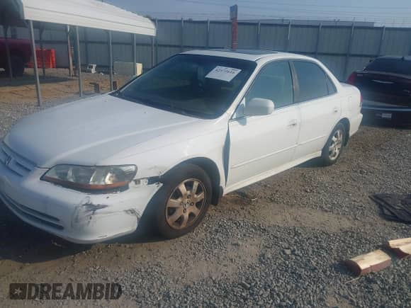2002 Honda Accord EX with VIN JHMCG56642C008927, listed as a IAAI auction lot 42572616 with 172,275 mi miles and . Bid and sale history available at DreamBid. Image 2.