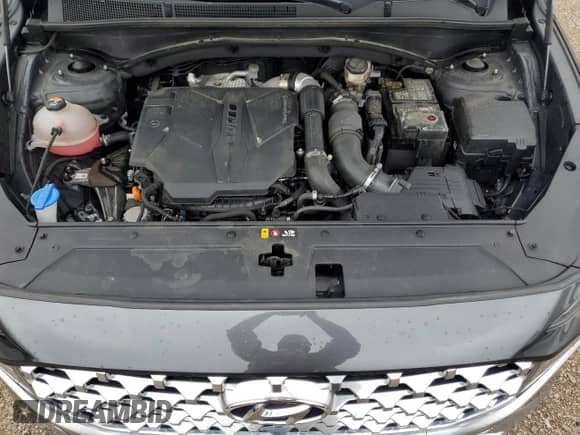 2021 Hyundai Santa Fe Limited with VIN 5NMS4DALXMH351694, listed as a Copart auction lot 69074605 with 57,905 mi miles and Salvage title. Bid and sale history available at DreamBid. Image 11.