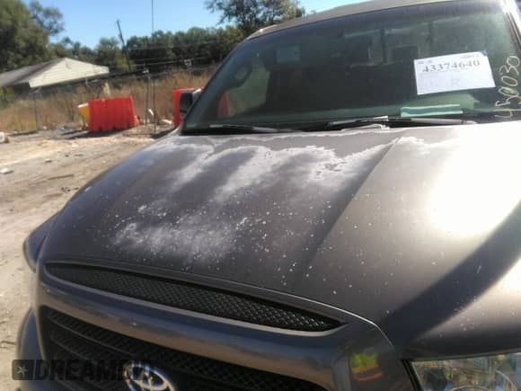 2007 Toyota Tundra SR5 с VIN 5TBRT54117S450030, выставлен на аукционе IAAI как лот 43374640 с пробегом Не указан миль и . История ставок и продаж доступна на DreamBid. Изображение 10.