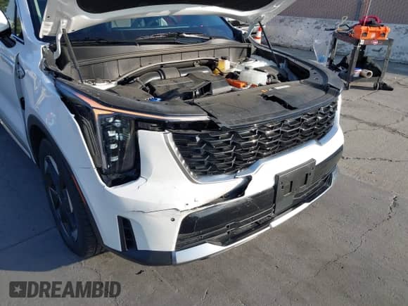 2025 Kia Sorento EX with VIN KNDRJDJH1S5390113, listed as a IAAI auction lot 43316794 with 10,163 mi miles and . Bid and sale history available at DreamBid. Image 6.