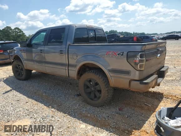 2013 Ford F-150 XL with VIN 1FTFW1EF2DFC38446, listed as a Copart auction lot 80144465 with 227,994 mi miles and Salvage title. Bid and sale history available at DreamBid. Image 2.