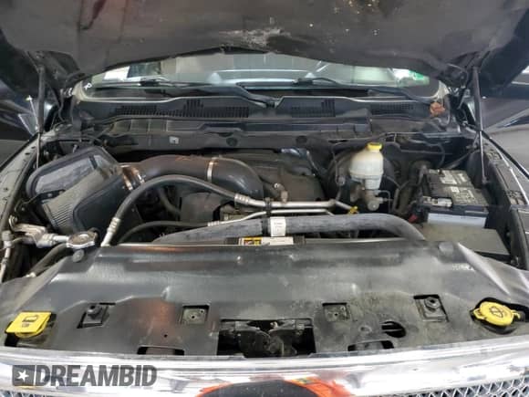 2015 Ram 1500 Laramie Longhorn with VIN 1C6RR7PT6FS660344, listed as a Copart auction lot 63742385 with 257,370 mi miles and Salvage title. Bid and sale history available at DreamBid. Image 11.