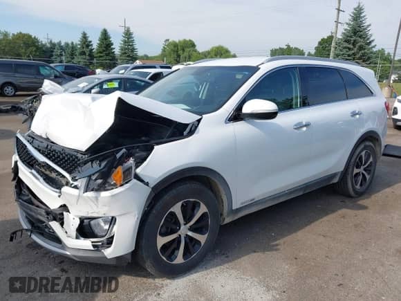 2017 Kia Sorento EX z VIN 5XYPHDA57HG298965, wystawiony jako IAAI lot #42851723 z przebiegiem 171 678 mil mil oraz . Historia ofert i sprzedaży dostępna na DreamBid. Obrazek 17.