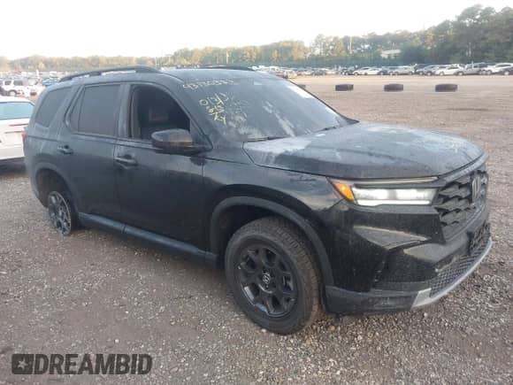 2025 Honda Pilot TrailSport с VIN 5FNYG1H65SB026501, выставлен на аукционе IAAI как лот 43130383 с пробегом 13 813 миль миль и . История ставок и продаж доступна на DreamBid. Изображение 1.