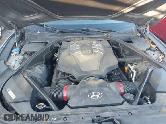 2015 Hyundai Genesis 5.0L с VIN KMHGN4JF5FU027329, выставлен на аукционе IAAI как лот 43186937 с пробегом 302 937 миль миль и . История ставок и продаж доступна на DreamBid. Изображение 10.