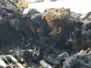 2021 Ram ProMaster Cargo с VIN 3C6MRVJG9ME549023, выставлен на аукционе Copart как лот 67124275 с пробегом Не указан миль и Списание • Salvage title. История ставок и продаж доступна на DreamBid. Изображение 8.