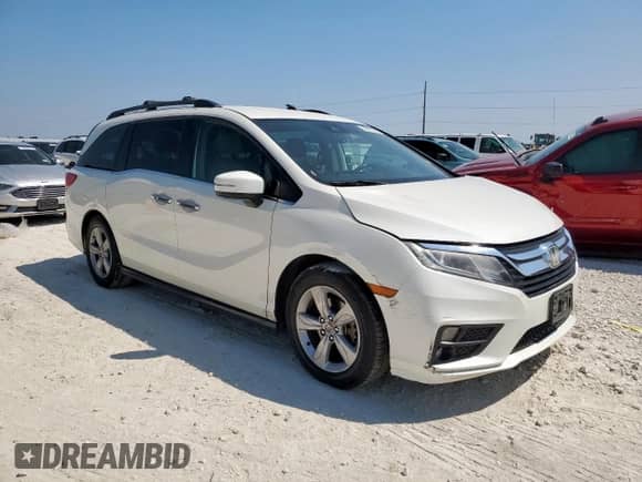 2019 Honda Odyssey EX with VIN 5FNRL6H51KB016102, listed as a Copart auction lot 80073805 with 207,939 mi miles and Salvage title. Bid and sale history available at DreamBid. Image 4.