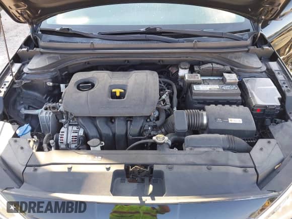 2019 Hyundai Elantra Value Edition с VIN 5NPD84LF2KH484339, выставлен на аукционе IAAI как лот 43239817 с пробегом 31 903 миль миль и . История ставок и продаж доступна на DreamBid. Изображение 10.