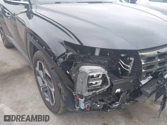 2024 Hyundai Tucson Limited with VIN KM8JFDD24RU147915, listed as a IAAI auction lot 42934206 with 33,952 mi miles and . Bid and sale history available at DreamBid. Image 6.