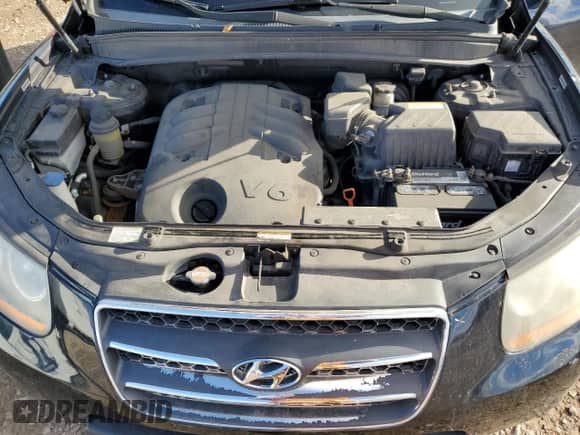 2009 Hyundai Santa Fe Limited z VIN 5NMSH13E39H236850, wystawiony jako Copart lot #86283865 z przebiegiem 167 734 mil mil oraz Szkoda całkowita • Salvage title. Historia ofert i sprzedaży dostępna na DreamBid. Obrazek 12.