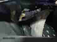 2005 Ford Mustang Deluxe z VIN 1ZVFT80N655129301, wystawiony jako Copart lot #68560815 z przebiegiem Nie podano mil oraz Szkoda całkowita • Salvage title. Historia ofert i sprzedaży dostępna na DreamBid. Obrazek 11.