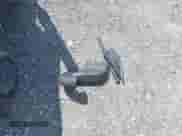 2002 Ford Econoline Cargo Recreational with VIN 1FDRE14W62HB28451, listed as a IAAI auction lot 42984132 with 99,232 mi miles and . Bid and sale history available at DreamBid. Image 12.