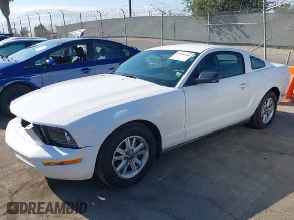 2006 Ford Mustang Standard with VIN 1ZVFT80NX65154834, listed as a IAAI auction lot 43204488 with 205,315 mi miles and . Bid and sale history available at DreamBid. Image 2.