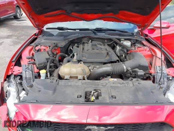 2018 Ford Mustang EcoBoost Premium with VIN 1FATP8UH3J5142795, listed as a IAAI auction lot 43218380 with 114,099 mi miles and . Bid and sale history available at DreamBid. Image 10.