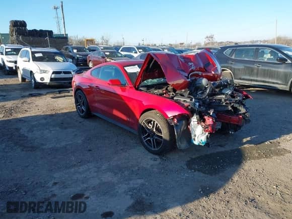 2023 Ford Mustang EcoBoost с VIN 1FA6P8TH0P5113505, выставлен на аукционе IAAI как лот 41330154 с пробегом 13 456 миль миль и . История ставок и продаж доступна на DreamBid. Изображение 1.