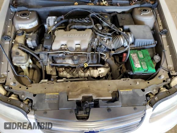 2003 Chevrolet Malibu с VIN 1G1ND52J73M570208, выставлен на аукционе Copart как лот 73095154 с пробегом 86 528 миль миль и Списание • Salvage title. История ставок и продаж доступна на DreamBid. Изображение 11.