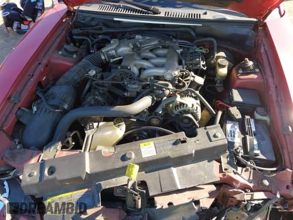 2001 Ford Mustang Standard with VIN 1FAFP40431F229681, listed as a IAAI auction lot 43383248 with 69,808 mi miles and . Bid and sale history available at DreamBid. Image 10.