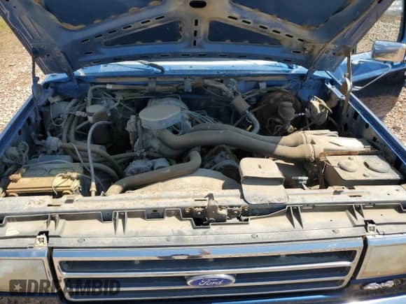 1990 Ford F-150 z VIN 1FTEF14N1LPA30295, wystawiony jako Copart lot #69413825 z przebiegiem 283 557 mil mil oraz Czysty tytuł • Clean title. Historia ofert i sprzedaży dostępna na DreamBid. Obrazek 11.