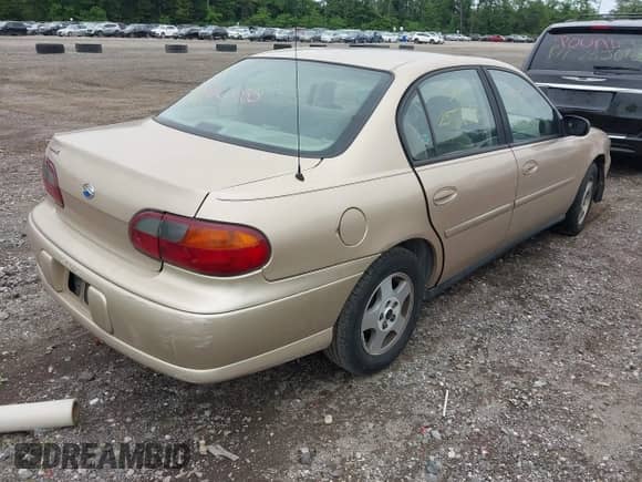 2004 Chevrolet Malibu Classic with VIN 1G1ND52F94M630633, listed as a IAAI auction lot 42521625 with Not provided miles and . Bid and sale history available at DreamBid. Image 4.