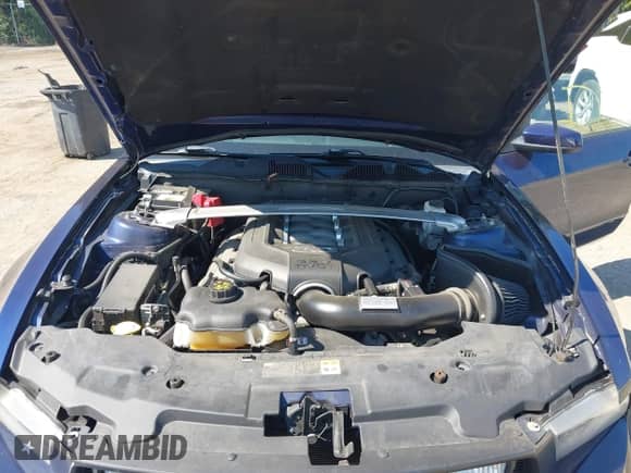 2012 Ford Mustang GT Premium z VIN 1ZVBP8CF1C5277764, wystawiony jako IAAI lot #43191730 z przebiegiem 52 459 mil mil oraz . Historia ofert i sprzedaży dostępna na DreamBid. Obrazek 10.