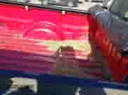 1998 Ford F-150 z VIN 2FTZF1726WCA70395, wystawiony jako IAAI lot #43529689 z przebiegiem 160 470 mil mil oraz . Historia ofert i sprzedaży dostępna na DreamBid. Obrazek 8.