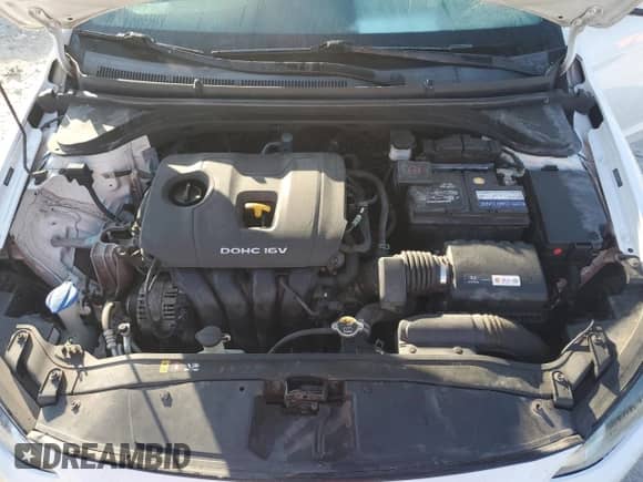 2017 Hyundai Elantra SE with VIN 5NPD84LF8HH110035, listed as a Copart auction lot 81495715 with 123,972 mi miles and Salvage title. Bid and sale history available at DreamBid. Image 11.