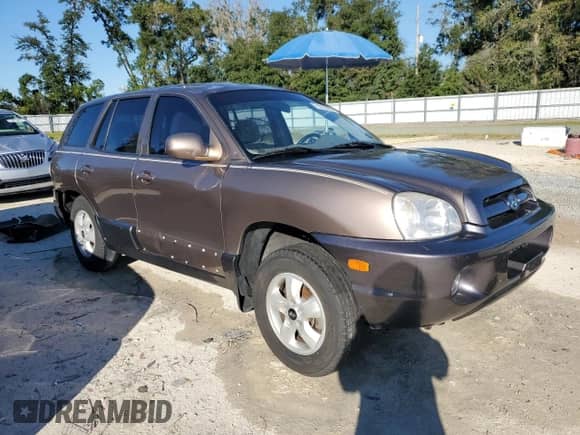 2005 Hyundai Santa Fe GLS с VIN KM8SC13D35U955102, выставлен на аукционе Copart как лот 76293854 с пробегом 107 406 миль миль и Списание • Salvage title. История ставок и продаж доступна на DreamBid. Изображение 4.