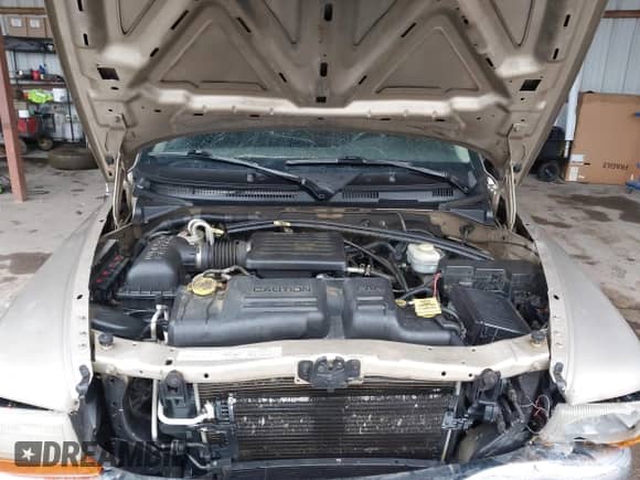 2003 Dodge Dakota SLT z VIN 1D7HL48N93S303911, wystawiony jako IAAI lot #41536555 z przebiegiem 383 306 mil mil oraz . Historia ofert i sprzedaży dostępna na DreamBid. Obrazek 10.