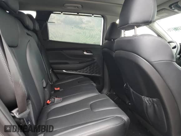 2023 Hyundai Santa Fe SEL Premium with VIN 5NMS3DA1XPH015646, listed as a Copart auction lot 80356775 with Not provided miles and Salvage title. Bid and sale history available at DreamBid. Image 11.