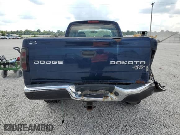 2004 Dodge Dakota with VIN 1D7HG12K24S669115, listed as a Copart auction lot 69128505 with 176,242 mi miles and Salvage title. Bid and sale history available at DreamBid. Image 6.