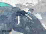 1992 Ford F-150 z VIN 1FTDF15Y1NLA51467, wystawiony jako IAAI lot #43498508 z przebiegiem 63 809 mil mil oraz . Historia ofert i sprzedaży dostępna na DreamBid. Obrazek 11.