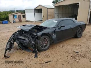 2020 Dodge Challenger R/T Scat Pack with VIN 2C3CDZFJ7LH191099, listed as a Copart auction lot 80397275 with 117,556 mi miles and Salvage title. Bid and sale history available at DreamBid. Image 1.