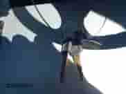 1995 Chevrolet Silverado 2500 с VIN 1GCGC24K9SE131642, выставлен на аукционе IAAI как лот 43273892 с пробегом 292 347 миль миль и . История ставок и продаж доступна на DreamBid. Изображение 11.