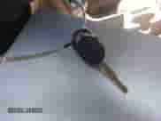 2002 Ford Explorer XLS z VIN 1FMZU72E42UB25443, wystawiony jako IAAI lot #43497537 z przebiegiem 163 089 mil mil oraz . Historia ofert i sprzedaży dostępna na DreamBid. Obrazek 11.