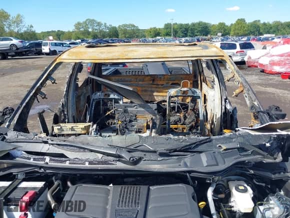 2024 Toyota Tundra Platinum with VIN 5TFNA5DB6RX231615, listed as a IAAI auction lot 43170256 with Not provided miles and . Bid and sale history available at DreamBid. Image 12.