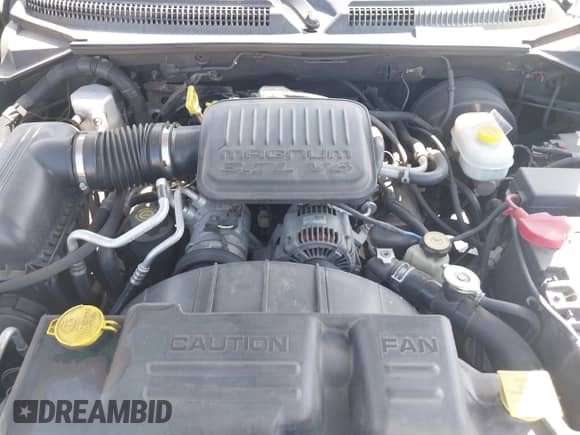 2004 Dodge Dakota SLT with VIN 1D7HL48K24S618072, listed as a IAAI auction lot 42001943 with 202,449 mi miles and . Bid and sale history available at DreamBid. Image 10.