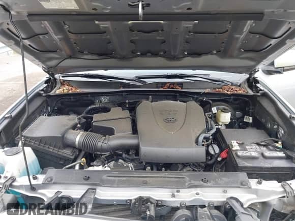 2021 Toyota Tacoma SR5 with VIN 5TFAZ5CN4MX110609, listed as a IAAI auction lot 43172655 with 36,100 mi miles and . Bid and sale history available at DreamBid. Image 10.