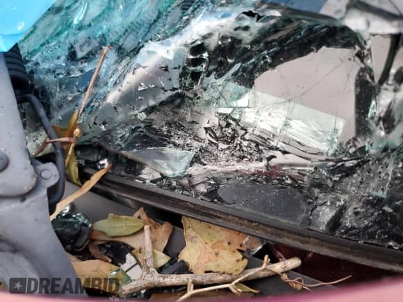 2020 Ram 1500 Longhorn with VIN 1C6SRFKM3LN356927, listed as a Copart auction lot 85787604 with Not provided miles and Salvage title. Bid and sale history available at DreamBid. Image 13.