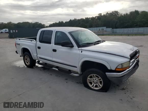 2004 Dodge Dakota SLT with VIN 1D7HG48N74S762117, listed as a Copart auction lot 85271725 with Not provided miles and Salvage title. Bid and sale history available at DreamBid. Image 4.